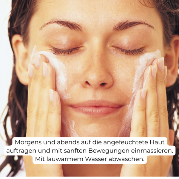 THE CLEANSING GEL