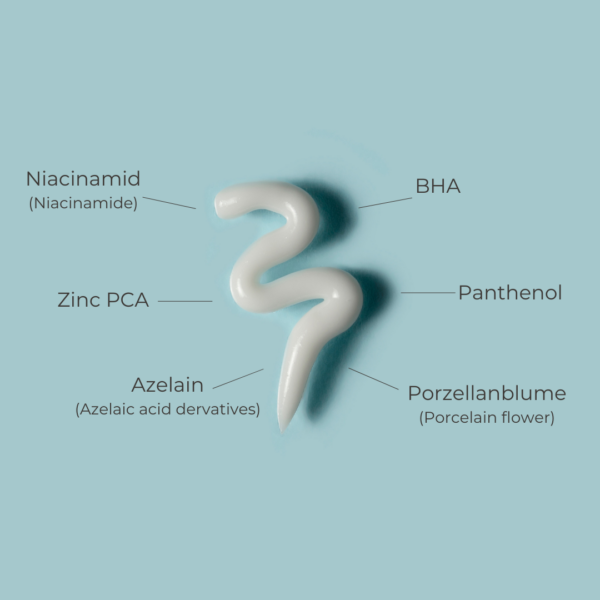 THE BHA MASK