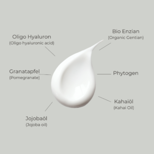 THE HYALURON PHYTO EYE CREAM