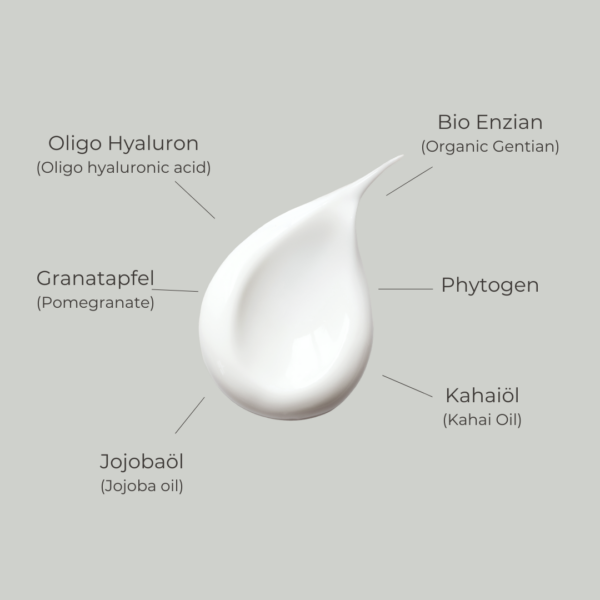 THE HYALURON PHYTO EYE CREAM