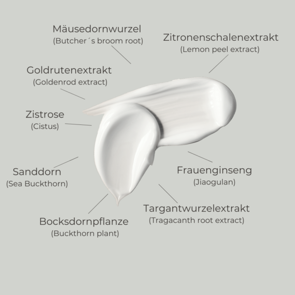 THE SHAPING BODY CREAM