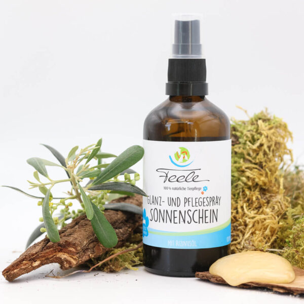 Glanz- und Pflegespray „Sonnenschein“